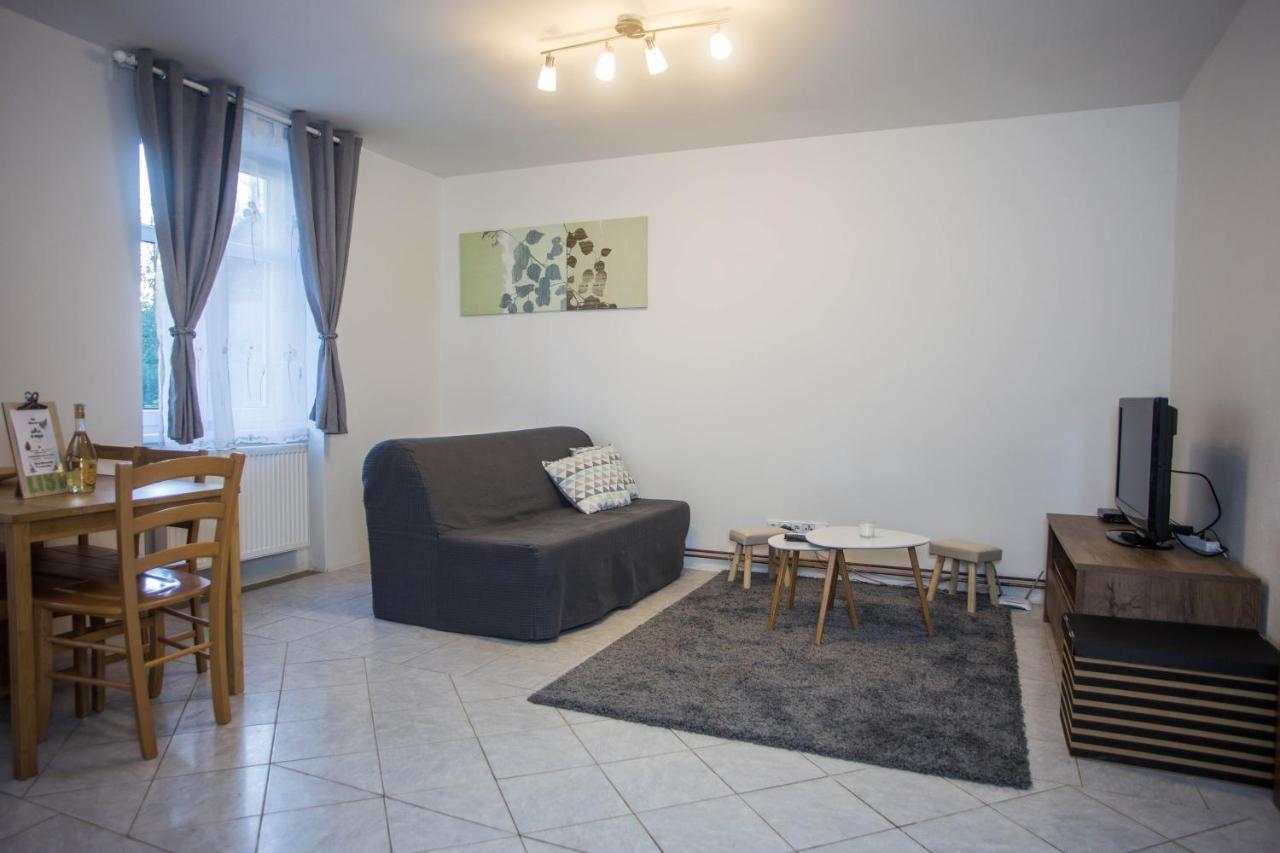 Apartmany Ve Mlejne Cachrov Εξωτερικό φωτογραφία
